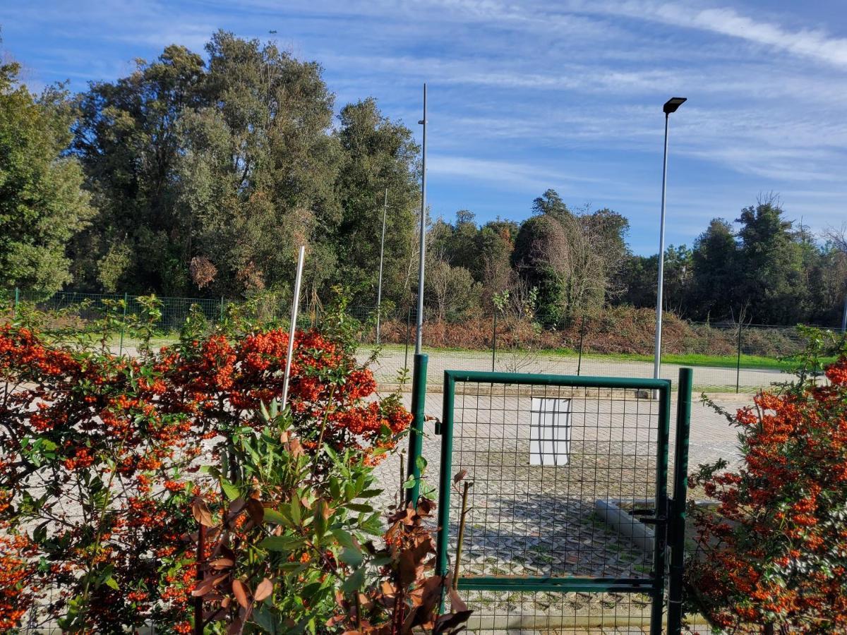 Appartamento 9 Residance Piviere Calambrone Exterior photo
